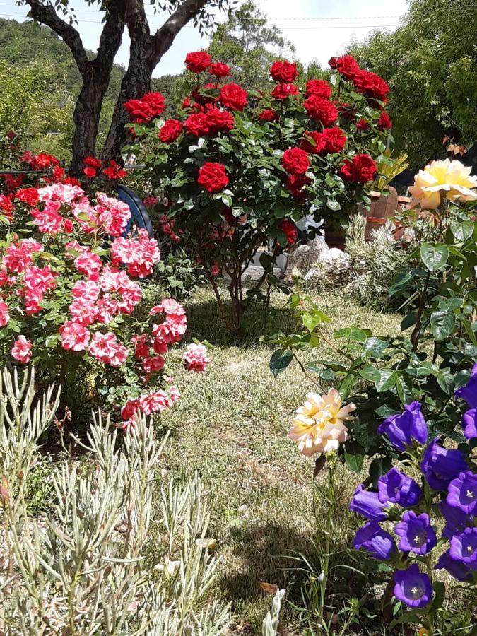 Il Girasole Bed & Breakfast Castelvecchio Calvisio Eksteriør bilde